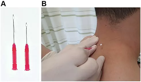 jpr a 276941 o f0001g min.jpg 1